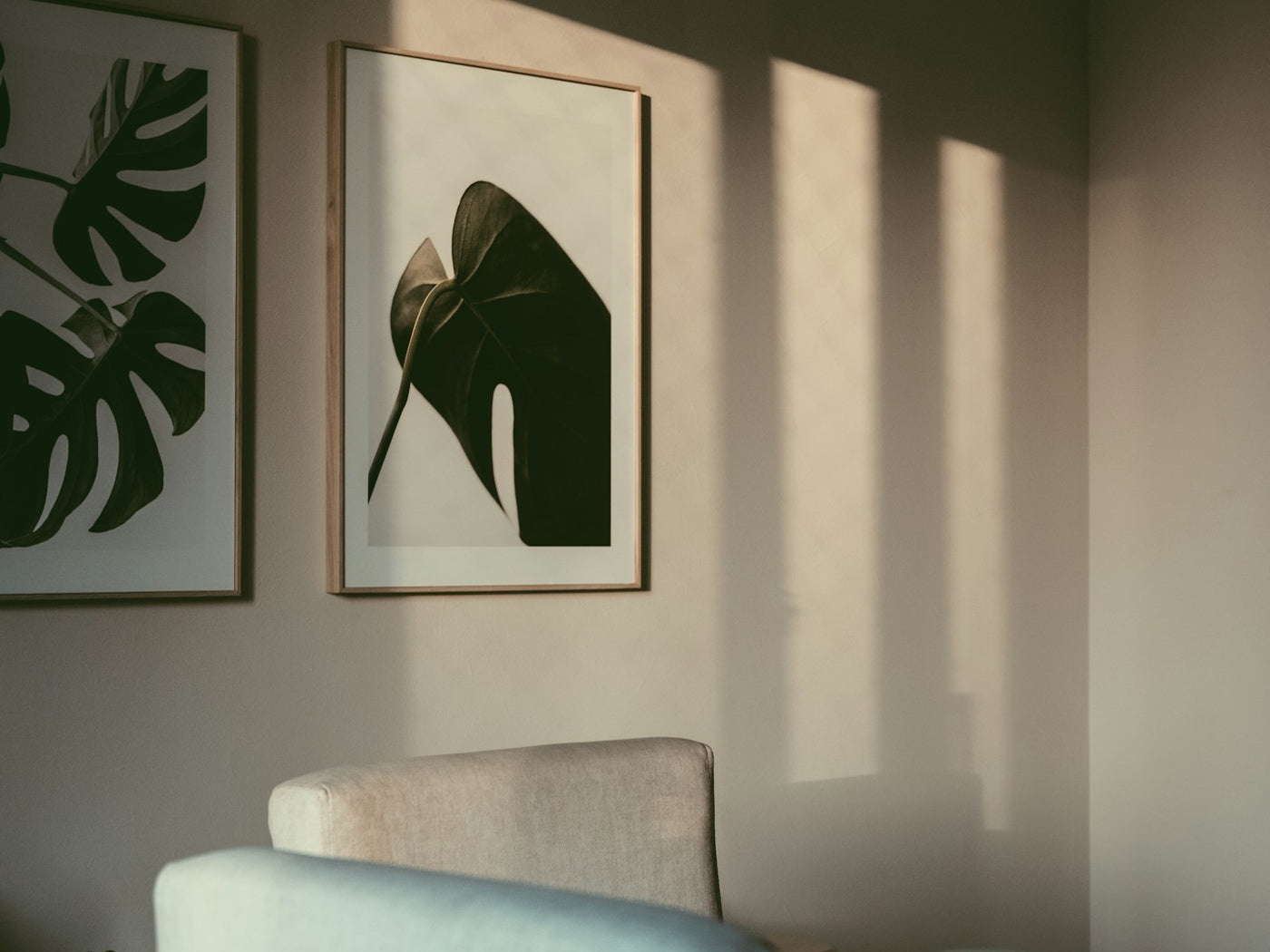 Framed botanical artwork on a wall crossed by warm afternoon light
