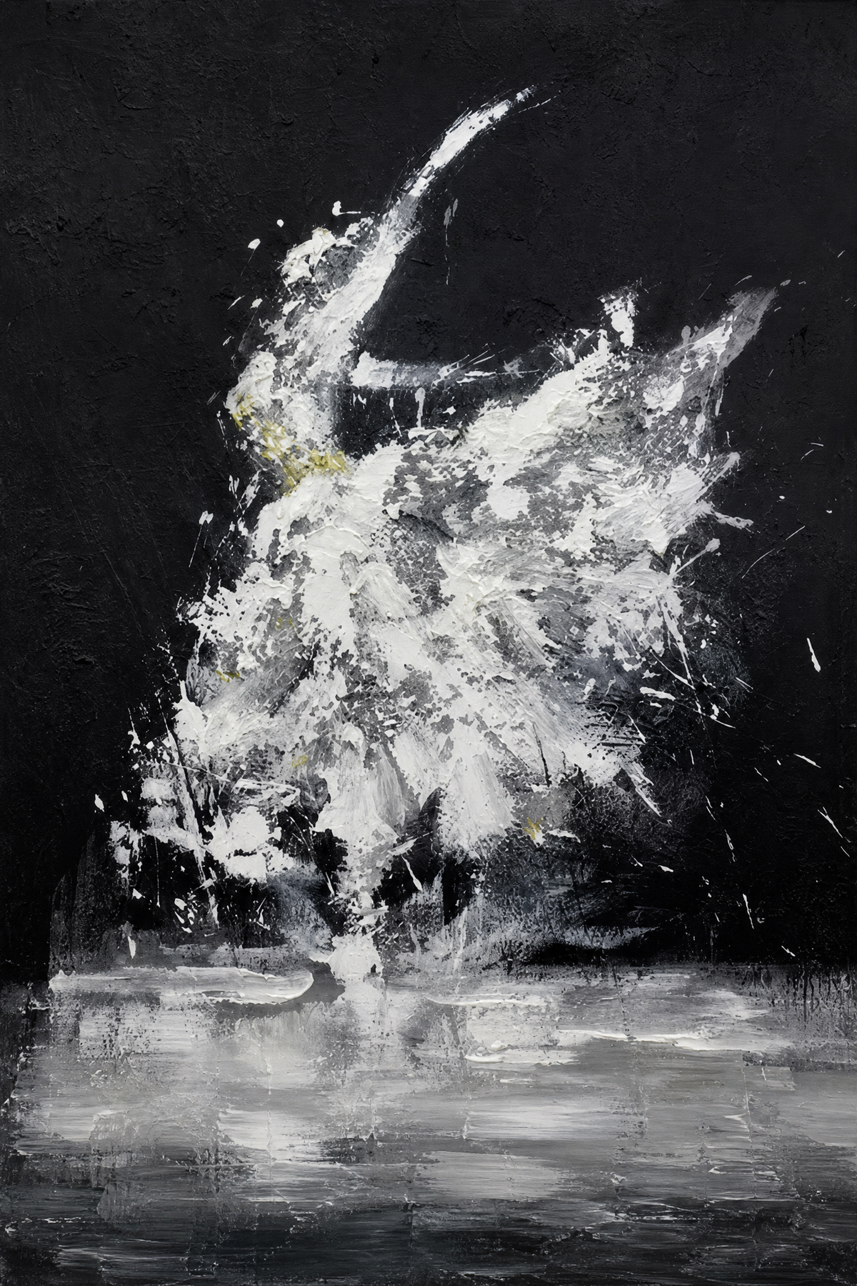 White Explosion on Black
