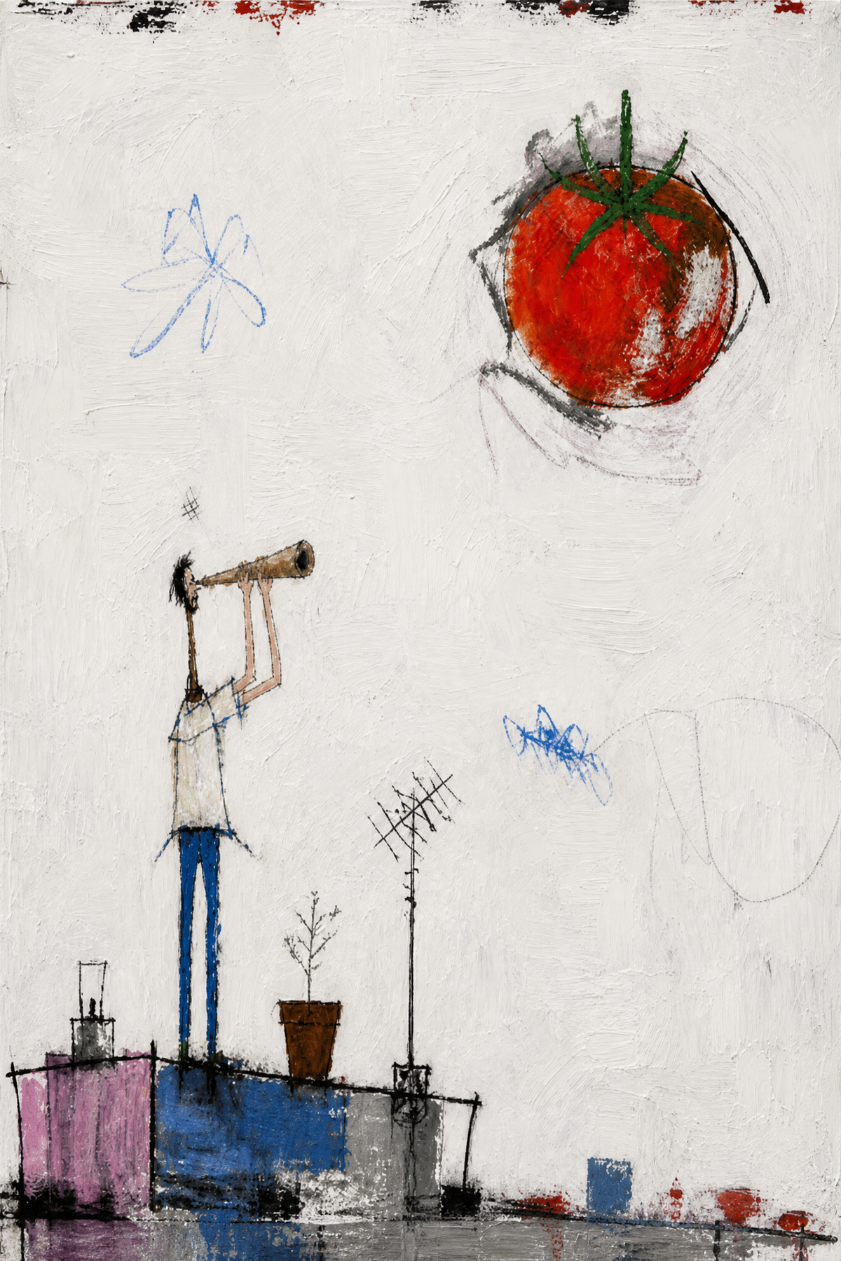 The Tomato Watcher