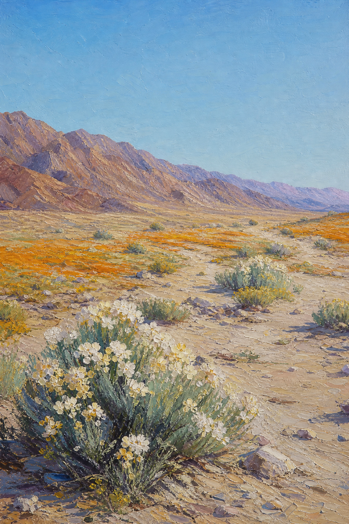 Desert Bloom at Midday